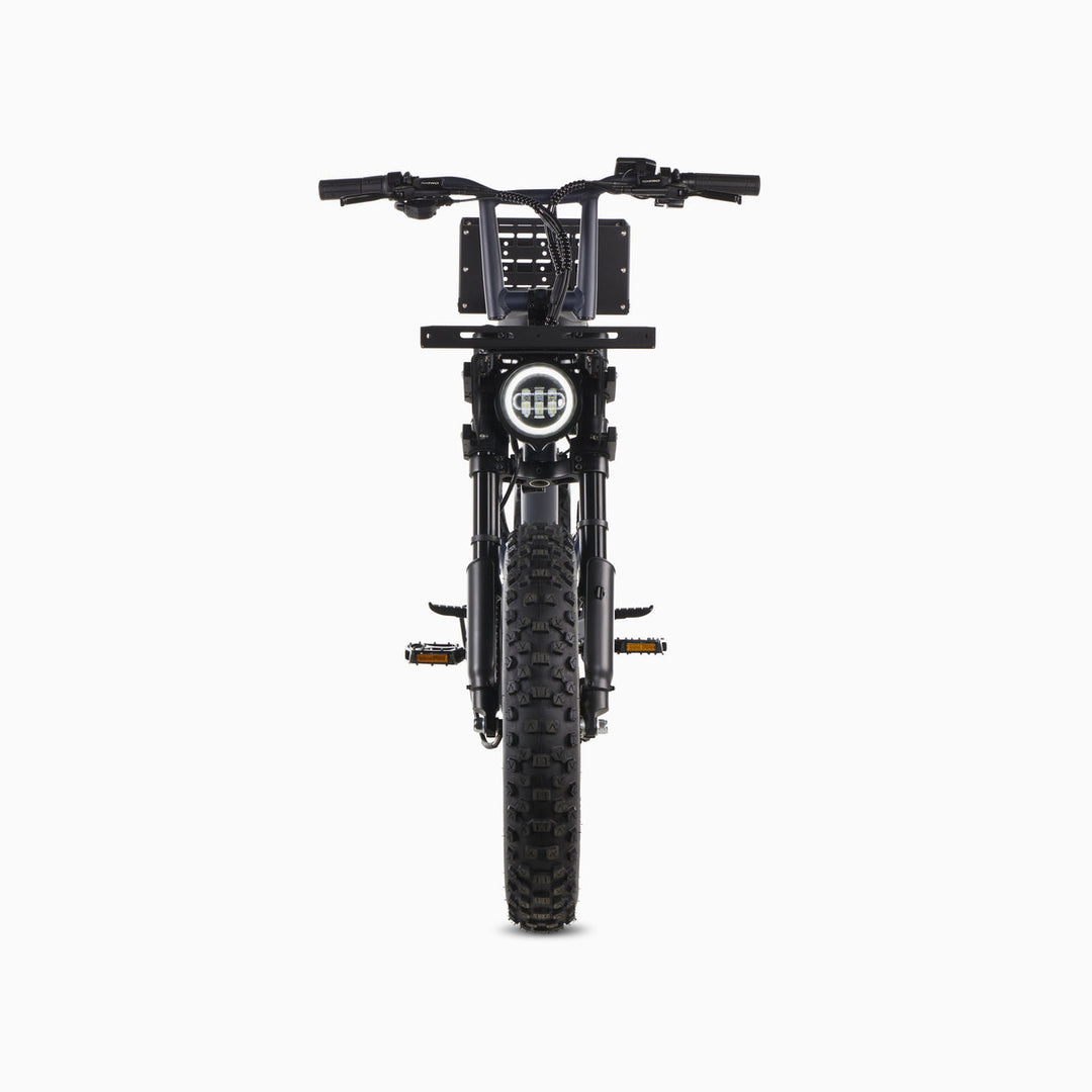 Pedal Electric All Wheel Drive [CG] Fat-Tire E-Bike