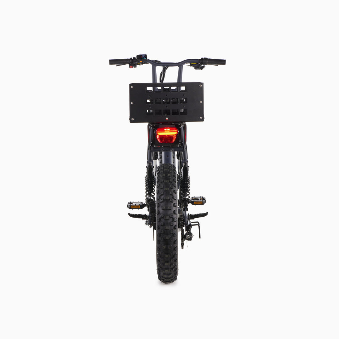 Pedal Electric All Wheel Drive [CG] Fat-Tire E-Bike