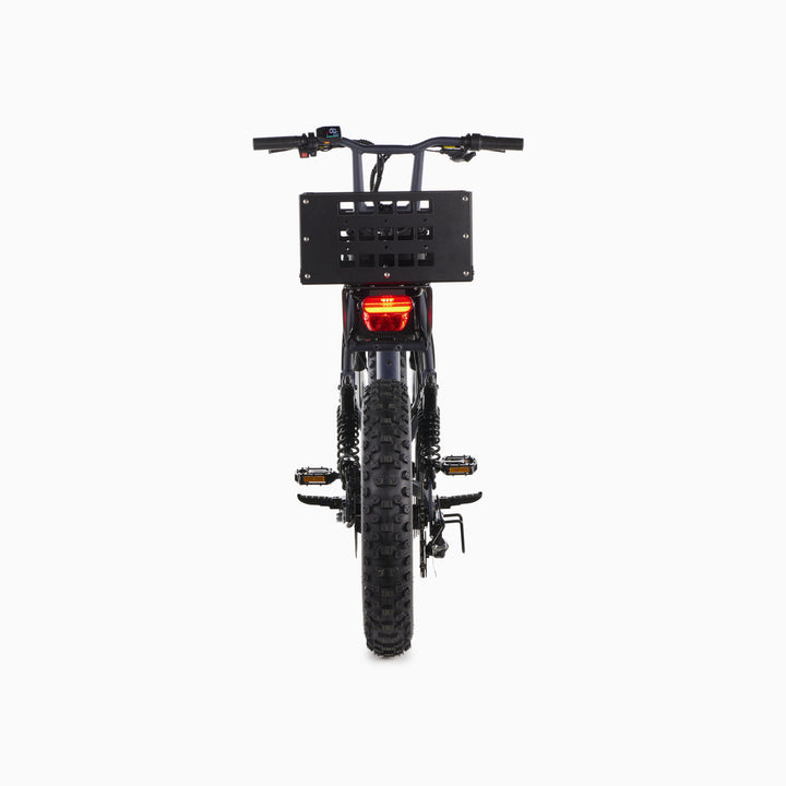 Pedal Electric All Wheel Drive [CG] Fat-Tire E-Bike