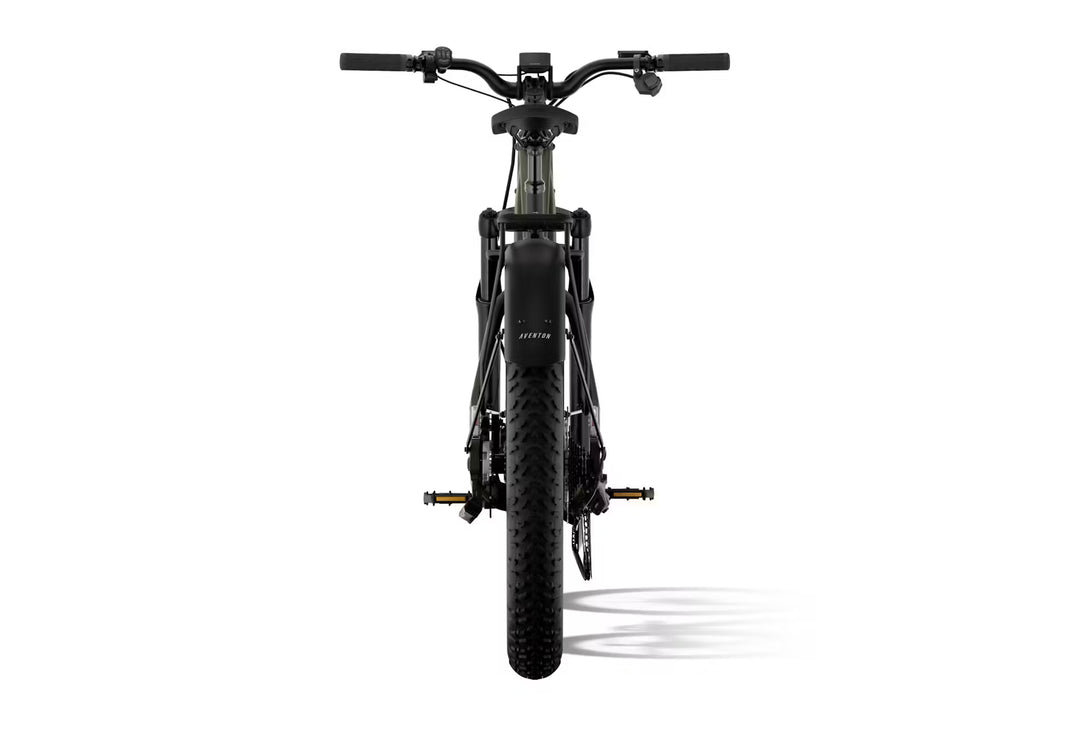 Aventon Aventure.M E-Bike