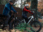 Himiway D3 CRUISER Long-Range Fat-Tire E-Bike