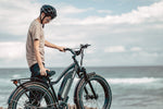 Himiway D3 CRUISER Long-Range Fat-Tire E-Bike