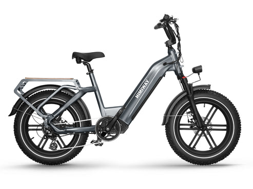 Himiway BIG DOG Cargo E-Bike