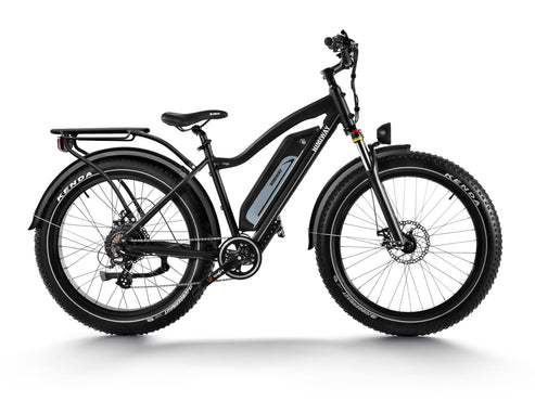 Himiway D3 CRUISER Long-Range Fat-Tire E-Bike