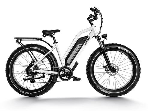Himiway D3 CRUISER Long-Range Fat-Tire E-Bike