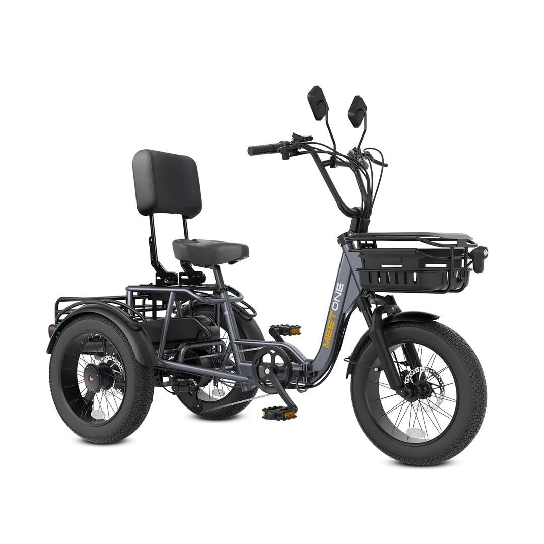 Meet One Breeze Fat Tire Electric Trike