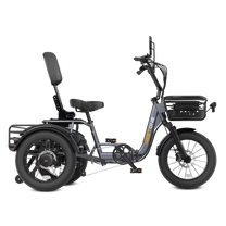 Meet One Breeze Fat Tire Electric Trike