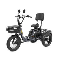 Meet One Breeze Fat Tire Electric Trike
