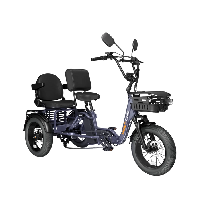 Meet One Pair trike