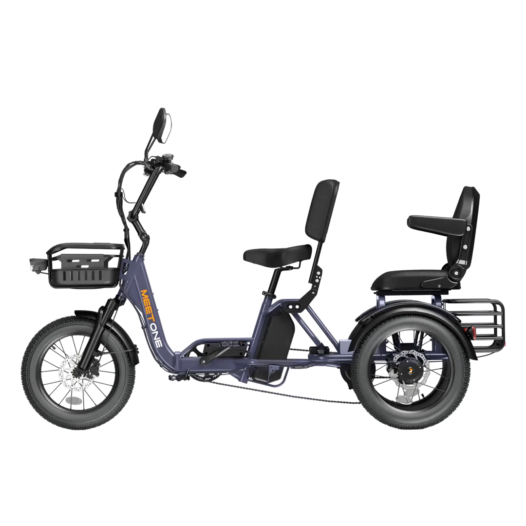 Meet One Pair trike