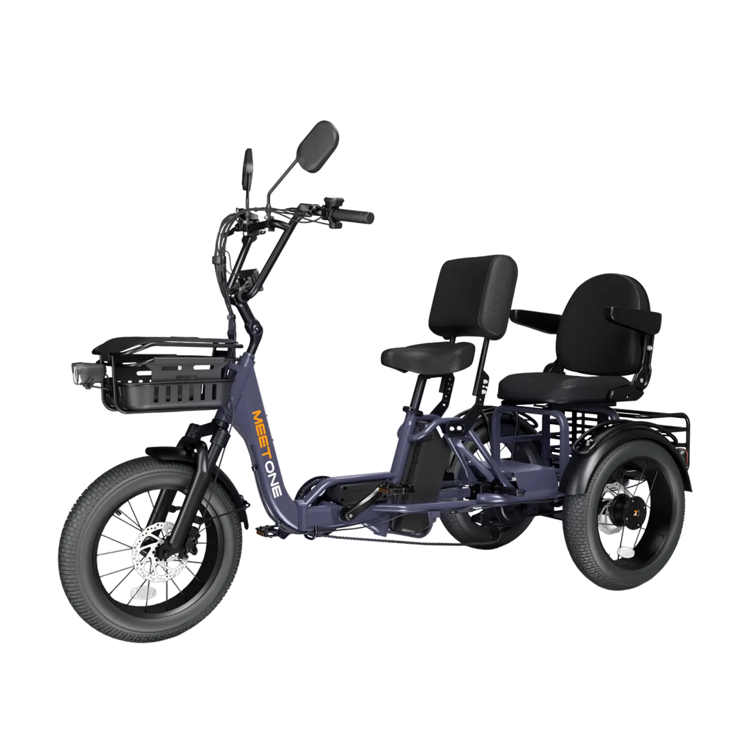 Meet One Pair trike