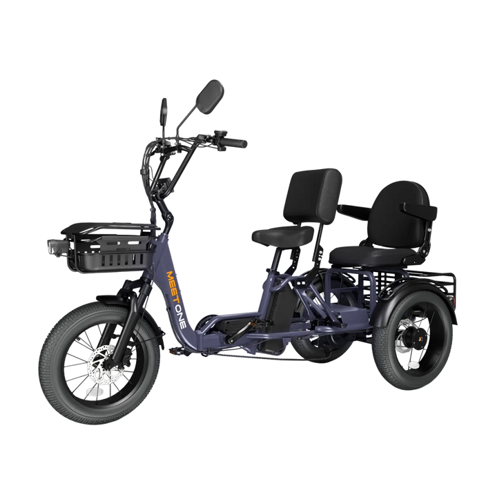 Meet One Pair trike