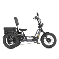 Meet One Tour 2.0 Dual Motor Full Suspension Trike