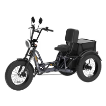 Meet One Tour Lite Full Suspension Trike