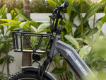 Himiway BIG DOG Cargo E-Bike