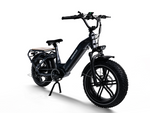 Himiway BIG DOG Cargo E-Bike