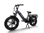 Himiway BIG DOG Cargo E-Bike