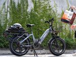 Himiway BIG DOG Cargo E-Bike