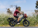 Himiway BIG DOG Cargo E-Bike