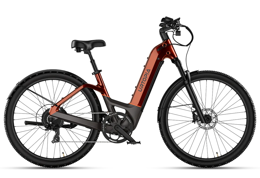 Carbon Atom E-Bike