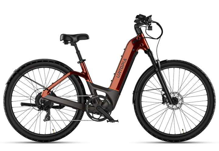 Carbon Atom E-Bike