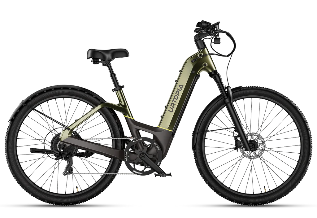Carbon Atom E-Bike