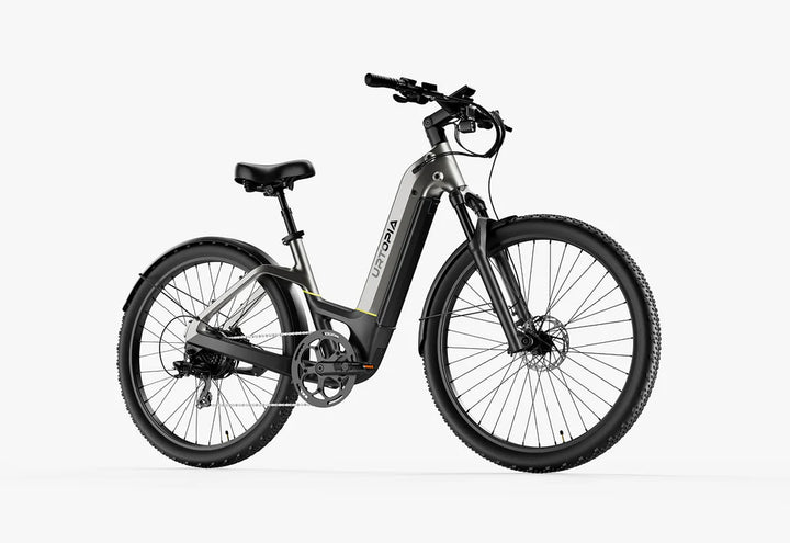 Carbon Atom E-Bike