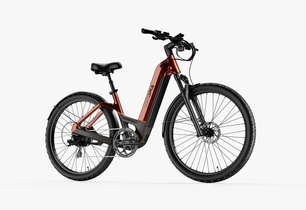 Carbon Atom E-Bike