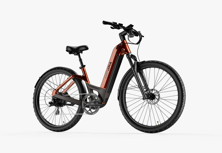 Carbon Atom E-Bike