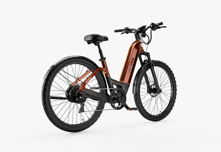 Carbon Atom E-Bike