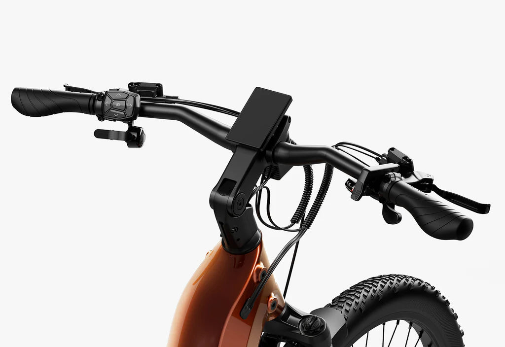 Carbon Atom E-Bike