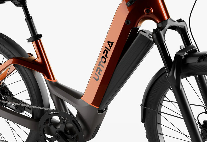 Carbon Atom E-Bike