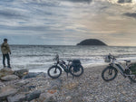 Himiway D3 CRUISER Long-Range Fat-Tire E-Bike