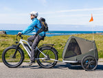 Himiway D3 CRUISER Long-Range Fat-Tire E-Bike