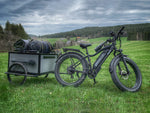 Himiway D3 CRUISER Long-Range Fat-Tire E-Bike