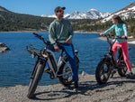 Himiway D3 CRUISER Long-Range Fat-Tire E-Bike