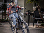 Himiway D3 CRUISER Long-Range Fat-Tire E-Bike