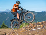 Himiway D3 CRUISER Long-Range Fat-Tire E-Bike