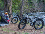 Himiway D3 CRUISER Long-Range Fat-Tire E-Bike