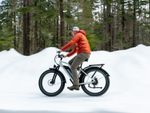 Himiway D3 CRUISER Long-Range Fat-Tire E-Bike