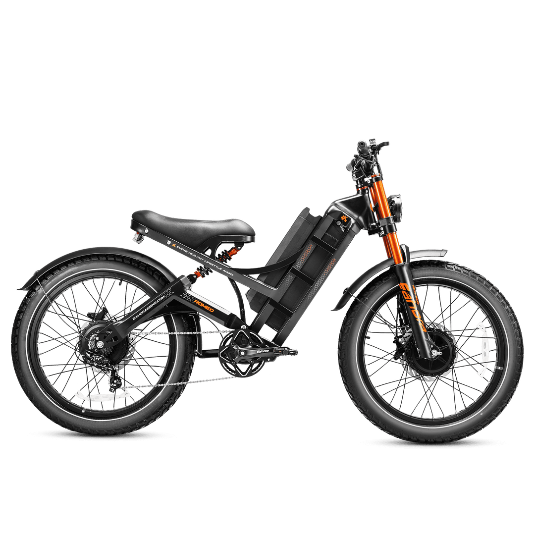 eahora ace electric bicycle Eahora Romeo Ultra II, Gray