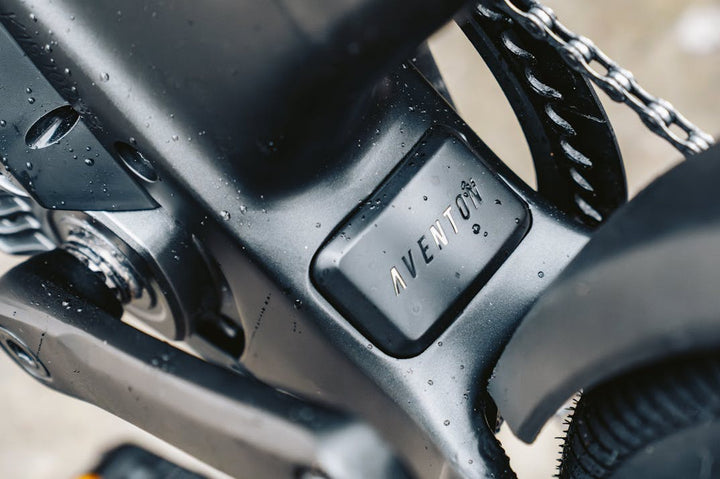 Aventon Level 4 ADV Step-Over